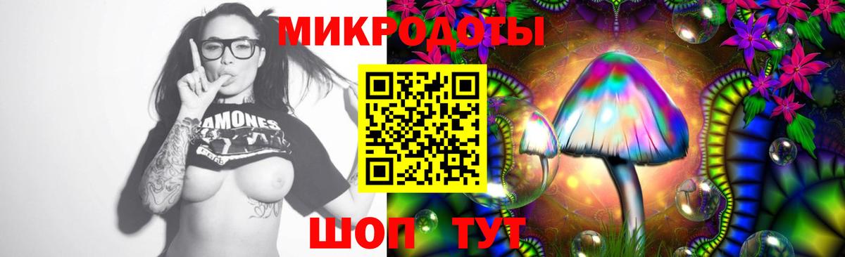 Галлюциногенные грибы MAGIC MUSHROOMS  Псилоцибиновые грибы прущие грибы  Вход с VPN  Истра 